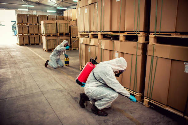 Best Pest Control Near Me  in Corcoran, MN