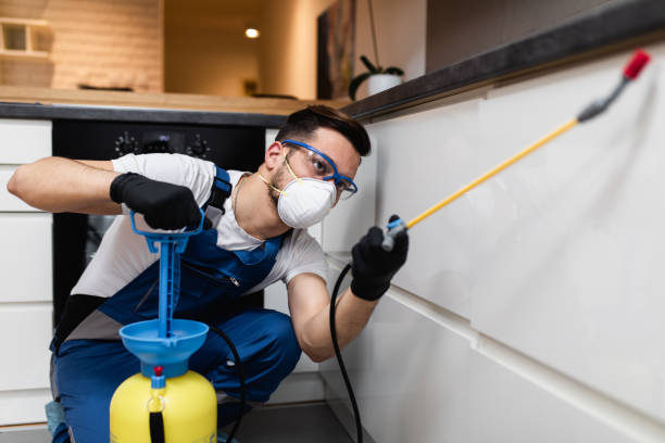 Best Best Pest Control Companies  in Corcoran, MN