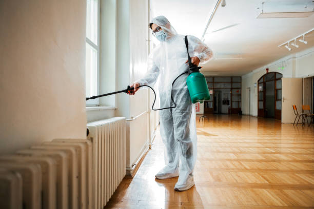 Best Affordable Pest Control Services  in Corcoran, MN