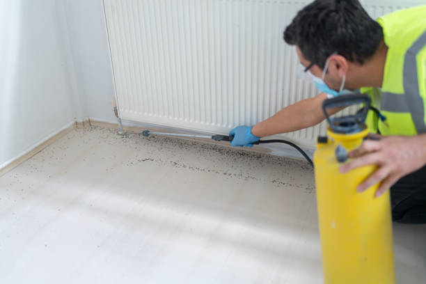 Best Local Pest Control Services  in Corcoran, MN